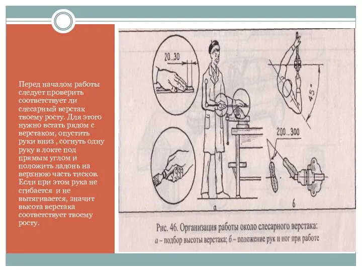Перед началом работы следует проверить соответствует ли слесарный верстак твоему росту.