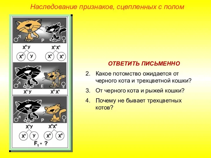 Наследование признаков, сцепленных с полом ОТВЕТИТЬ ПИСЬМЕННО Какое потомство ожидается от