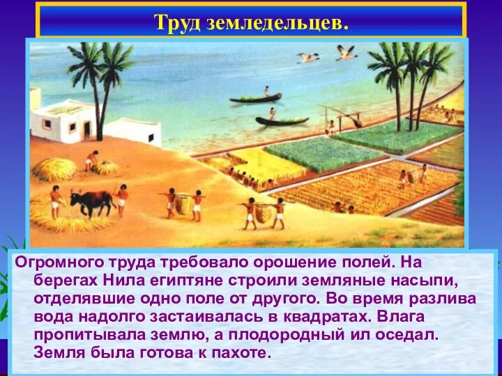 * Огромного труда требовало орошение полей. На берегах Нила египтяне строили