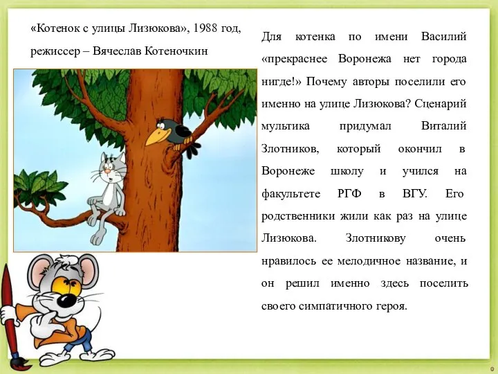 Для котенка по имени Василий «прекраснее Воронежа нет города нигде!» Почему