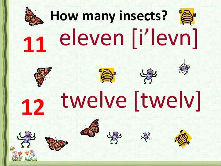 11 eleven [i’levn] 12 twelve [twelv] How many insects?