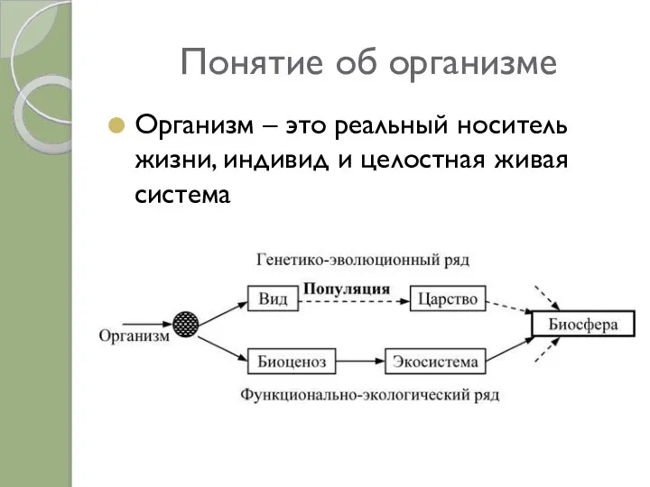 Понятие об организме Организм – это реальный носитель жизни, индивид и целостная живая система