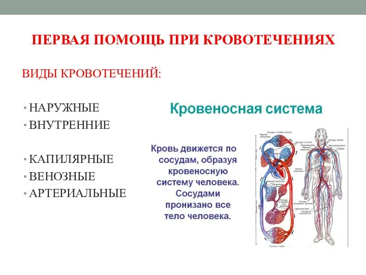 ПЕРВАЯ ПОМОЩЬ ПРИ КРОВОТЕЧЕНИЯХ ВИДЫ КРОВОТЕЧЕНИЙ: НАРУЖНЫЕ ВНУТРЕННИЕ КАПИЛЯРНЫЕ ВЕНОЗНЫЕ АРТЕРИАЛЬНЫЕ