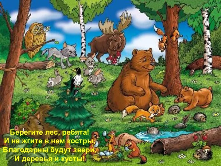 Берегите лес, ребята! И не жгите в нем костры, Благодарны будут звери, И деревья и кусты!