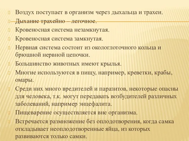 Воздух поступает в организм через дыхальца и трахеи. Дыхание трахейно –