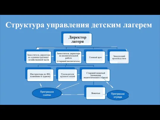 Структура управления детским лагерем