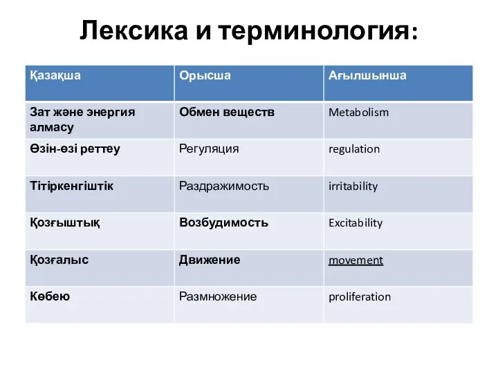 Лексика и терминология: