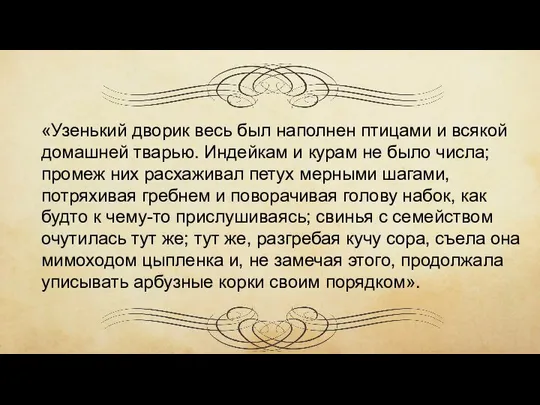 «Узенький дворик весь был наполнен птицами и всякой домашней тварью. Индейкам