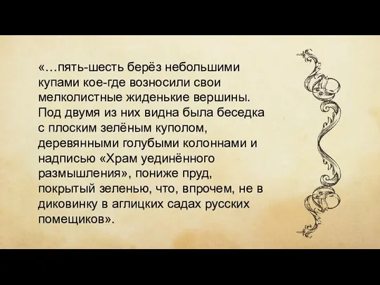 «…пять-шесть берёз небольшими купами кое-где возно­сили свои мелколистные жиденькие вершины. Под