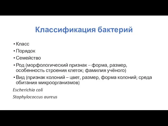 Классификация бактерий Класс Порядок Семейство Род (морфологический признак – форма, размер,