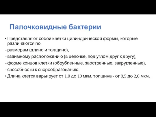 Палочковидные бактерии Представляют собой клетки цилиндрической формы, которые различаются по: размерам