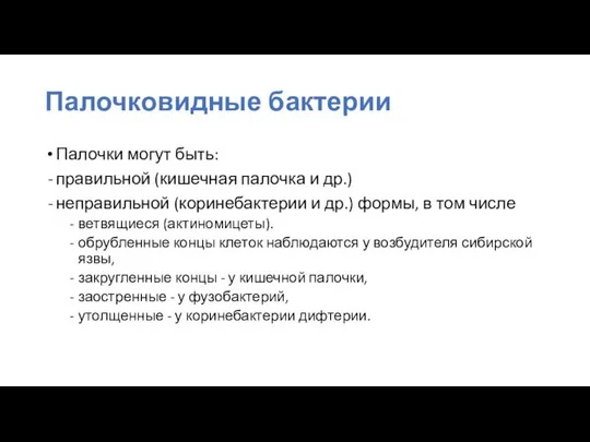 Палочковидные бактерии Палочки могут быть: правильной (кишечная палочка и др.) неправильной