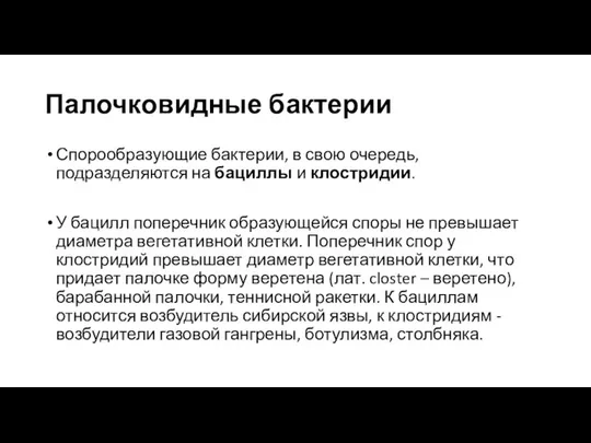 Палочковидные бактерии Спорообразующие бактерии, в свою очередь, подразделяются на бациллы и