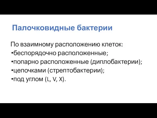 Палочковидные бактерии По взаимному расположению клеток: беспорядочно расположенные; попарно расположенные (диплобактерии);