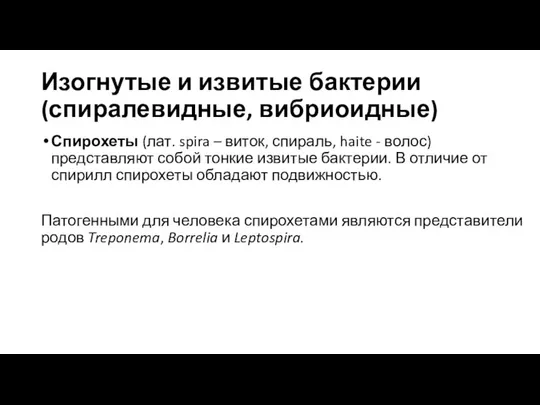 Изогнутые и извитые бактерии (спиралевидные, вибриоидные) Спирохеты (лат. spira – виток,