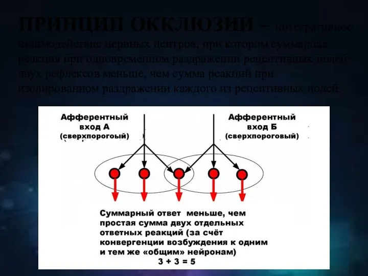 ПРИНЦИП ОККЛЮЗИИ – интегративное взаимодействие нервных центров, при котором суммарная реакция