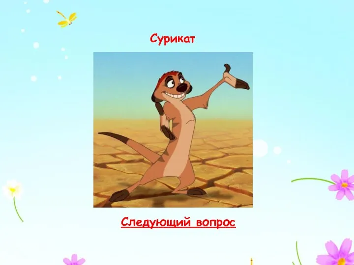 Следующий вопрос Сурикат