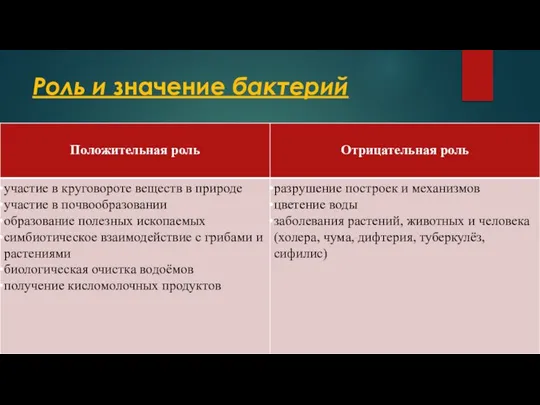 Роль и значение бактерий Положительная роль: порча пищевых продуктов