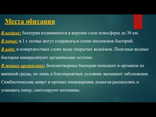 Места обитания В воздухе: бактерии поднимаются в верхние слои атмосферы до