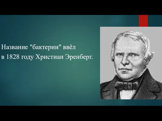 Название "бактерии" ввёл в 1828 году Христиан Эренберг.