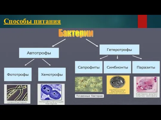 Способы питания