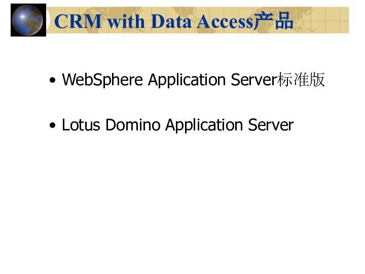 CRM with Data Access产品 WebSphere Application Server标准版 Lotus Domino Application Server