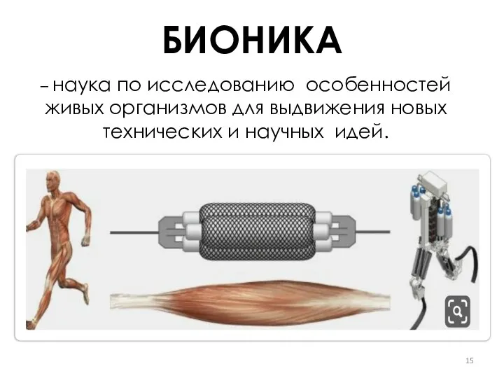 – наука по исследованию особенностей живых организмов для выдвижения новых технических и научных идей. БИОНИКА