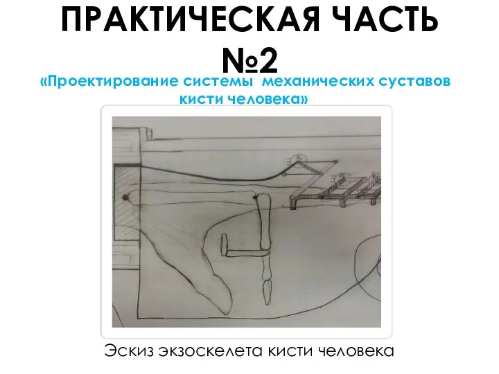 Эскиз экзоскелета кисти человека «Проектирование системы механических суставов кисти человека» ПРАКТИЧЕСКАЯ ЧАСТЬ №2