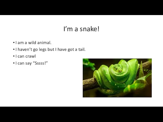 I’m a snake! I am a wild animal. I haven’t go