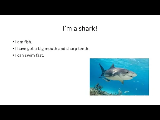 I’m a shark! I am fish. I have got a big