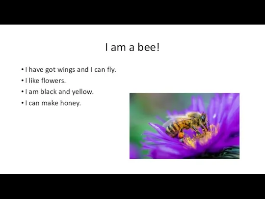 I am a bee! I have got wings and I can