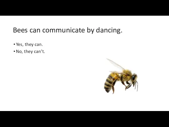 Bees can communicate by dancing. Yes, they can. No, they can’t.