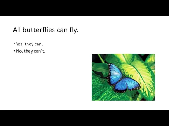 All butterflies can fly. Yes, they can. No, they can’t.