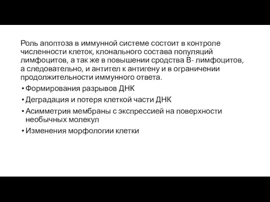 Роль апоптоза в иммунной системе состоит в контроле численности клеток, клонального