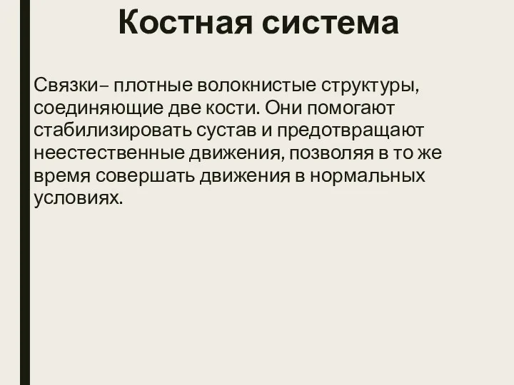 Связки– плотные волокнистые структуры, соединяющие две кости. Они помогают стабилизировать сустав