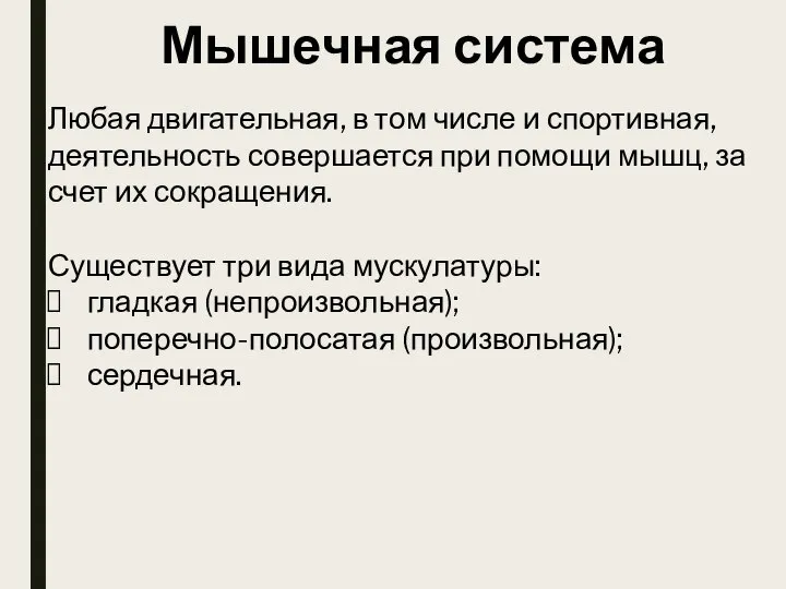 Мышечная система Любая двигательная, в том числе и спортивная, деятельность совершается