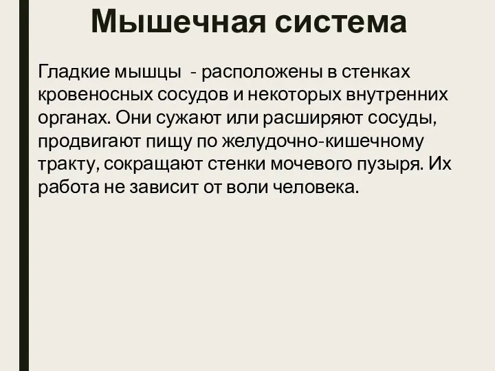 Гладкие мышцы - расположены в стенках кровеносных сосудов и некоторых внутренних