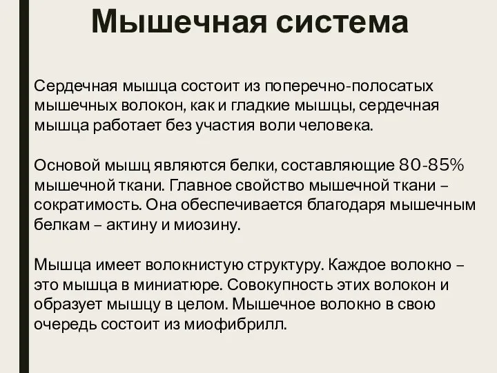 Сердечная мышца состоит из поперечно-полосатых мышечных волокон, как и гладкие мышцы,