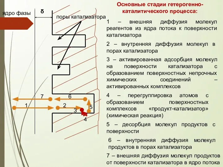 δ ядро фазы поры катализатора Основные стадии гетерогенно-каталитического процесса: 1 –