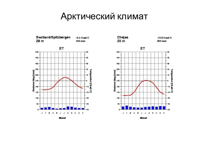 Арктический климат