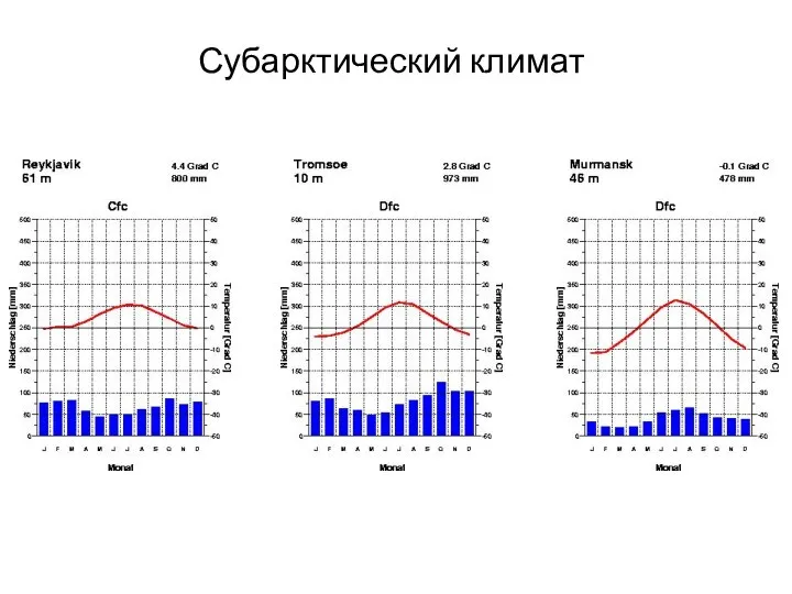 Субарктический климат