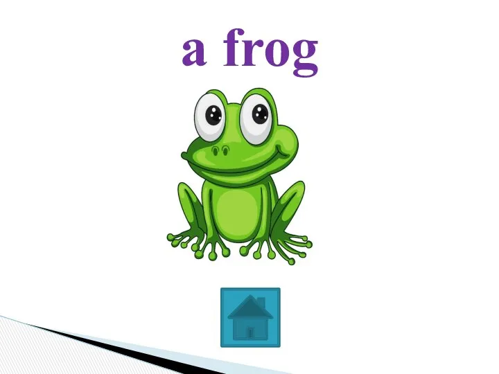 a frog