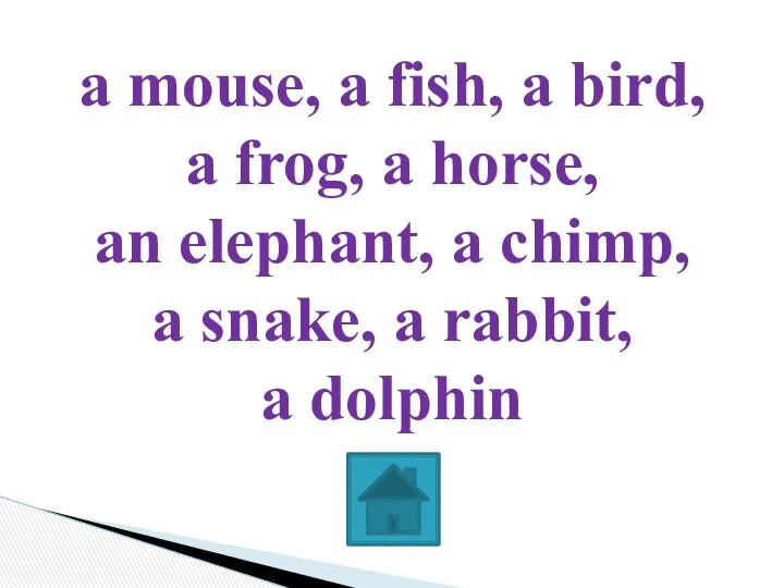 a mouse, a fish, a bird, a frog, a horse, an