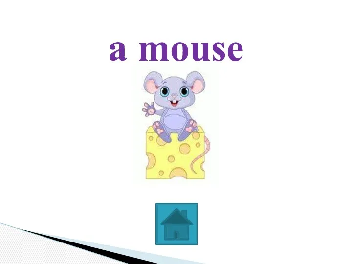 a mouse