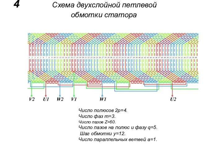 4 Схема двухслойной петлевой обмотки статора Число полюсов 2р=4. Число фаз