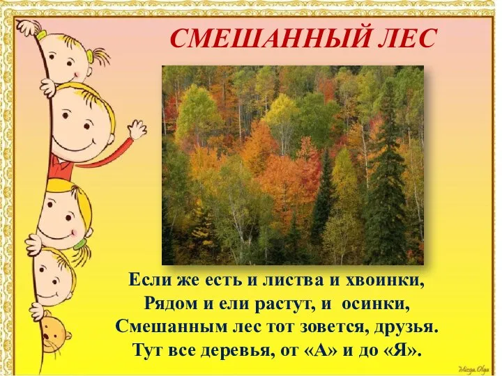 СМЕШАННЫЙ ЛЕС Если же есть и листва и хвоинки, Рядом и