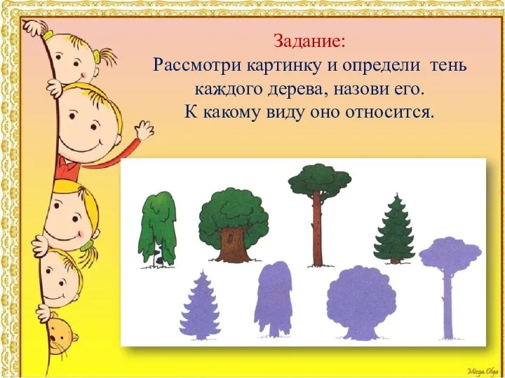 Задание: Рассмотри картинку и определи тень каждого дерева, назови его. К какому виду оно относится.