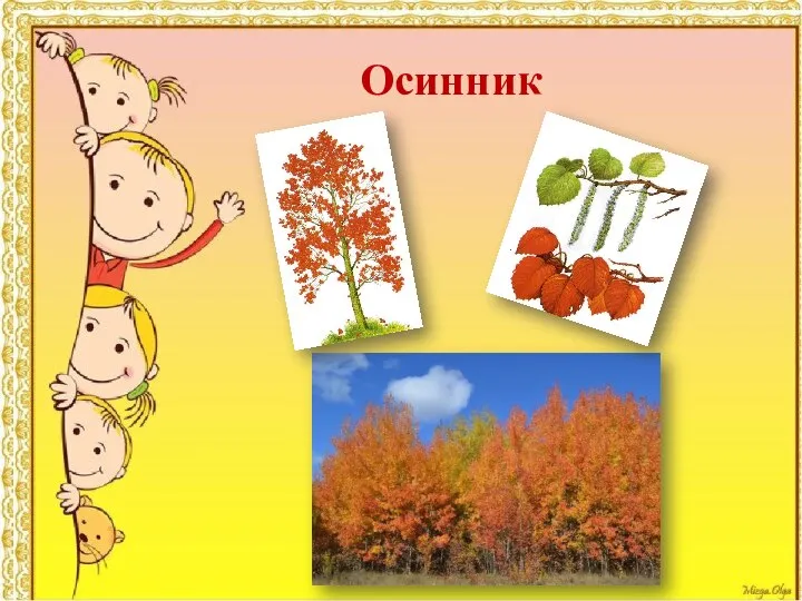 Осинник