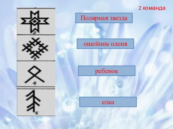 ошейник оленя Полярная звезда ребенок елка 2 команда