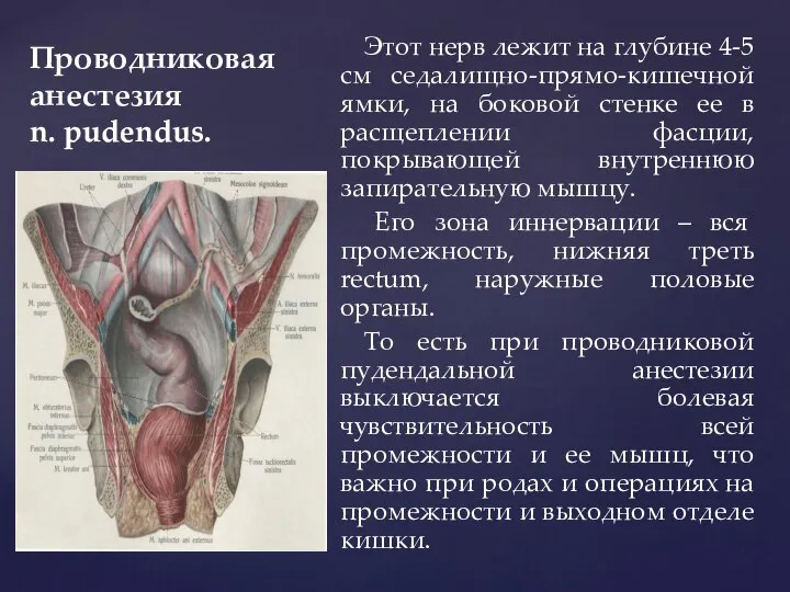 Проводниковая анестезия n. pudendus. Этот нерв лежит на глубине 4-5 см